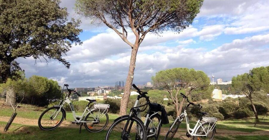 Madrid’s River Side & Casa de Campo Electric Bike Tour - Entering Casa de Campo, Madrid’s great green escape