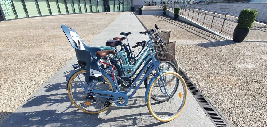 Malaga: Private Bike Rental - The historic center, Roman Theatre, and Alcazaba