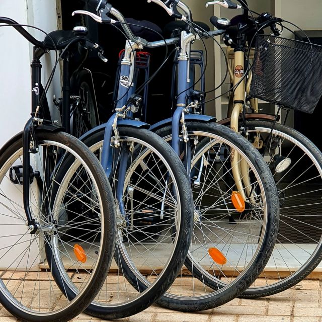 Malaga: Private Bike Rental - Pedregalejo and Malaga food