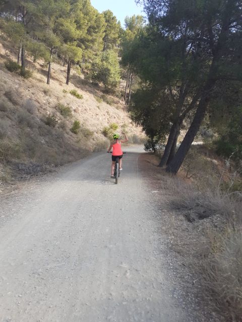 Málaga: Scenic Easy 3-Hour E-Bike Tour in Montes de Málaga - Key points to know before you ride