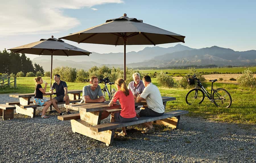 Marlborough: Full-Day Self-Guided Biking Wine Tour - Starting near Renwick with a useful map