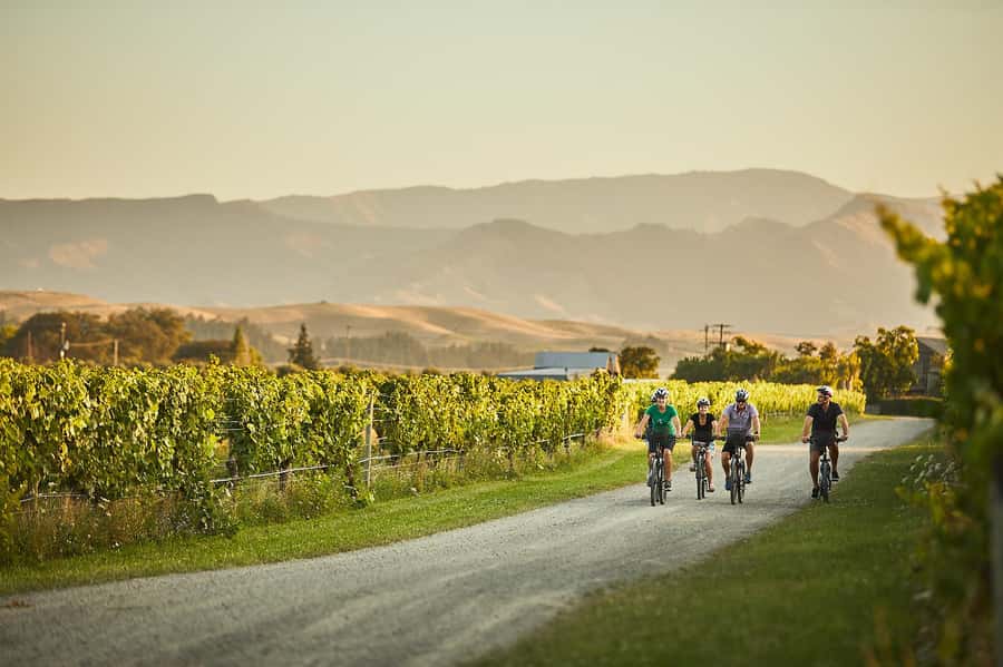 Marlborough: Full-Day Self-Guided Biking Wine Tour - Planning your winery route