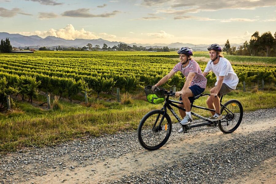 Marlborough: Full-Day Self-Guided Biking Wine Tour - Who should book this day