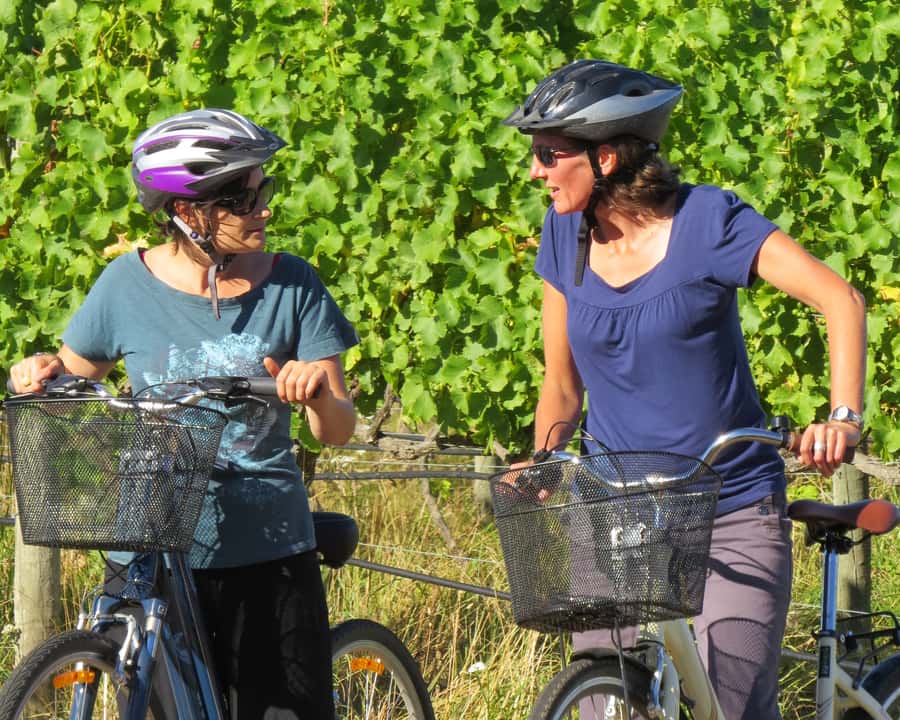 Marlborough: Half Guided and Half Self-Guided Bike Wine Tour - Why the half-guided format works so well