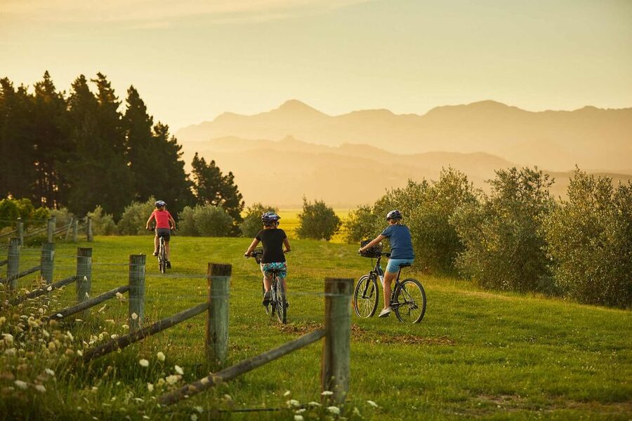 Marlborough: Half Guided and Half Self-Guided Bike Wine Tour - Who will enjoy this tour most