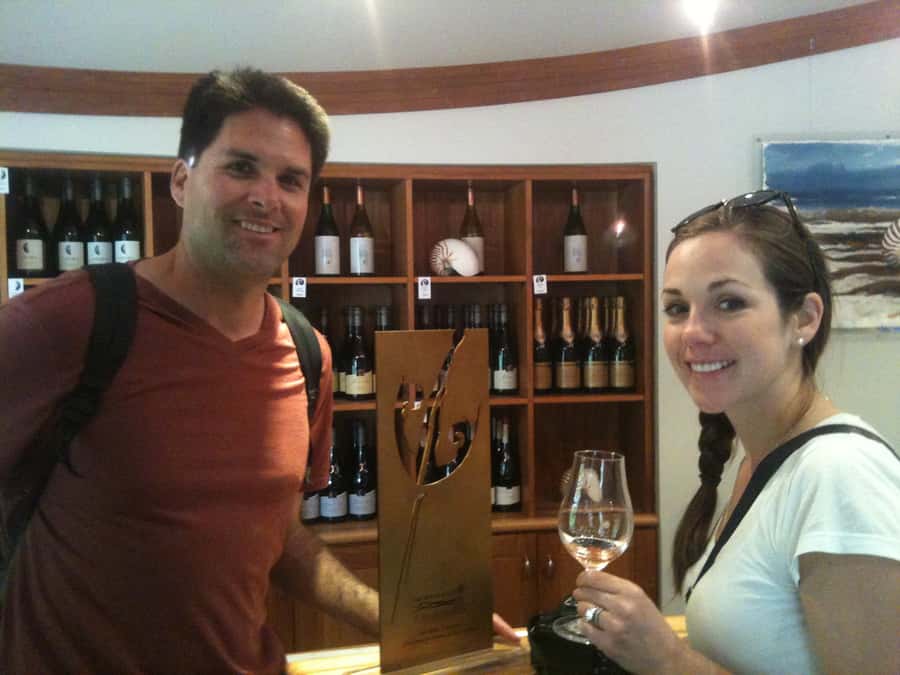 Marlborough: Half Guided and Half Self-Guided Bike Wine Tour - Practical advice for a smoother day