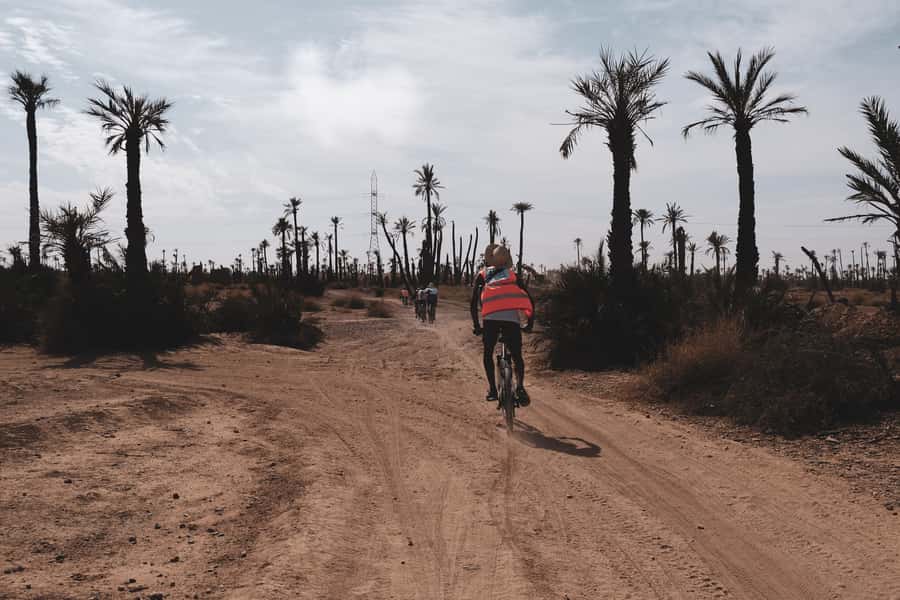 Marrakech: Cycling Tour in Palm Groove with Local Breakfast - From grand villas to the old palm oasis