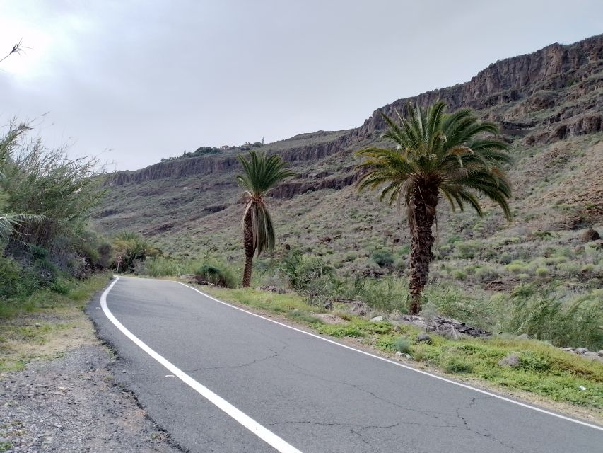 Maspalomas: Southern Coast E-Bike Tour Option Tapas Tasting - Starting at Cita Shopping Center