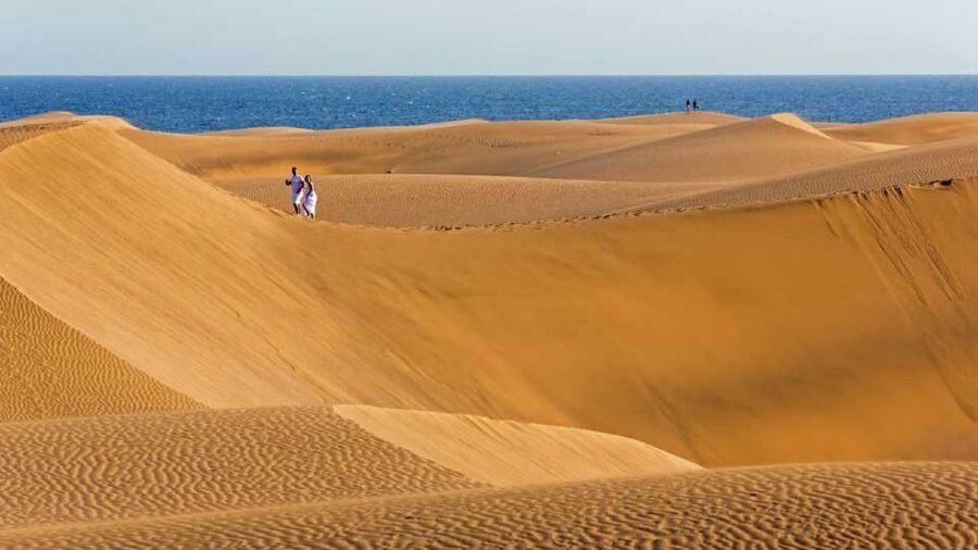 Maspalomas: Southern Coast E-Bike Tour Option Tapas Tasting - A short walk through Maspalomas Botanical Garden