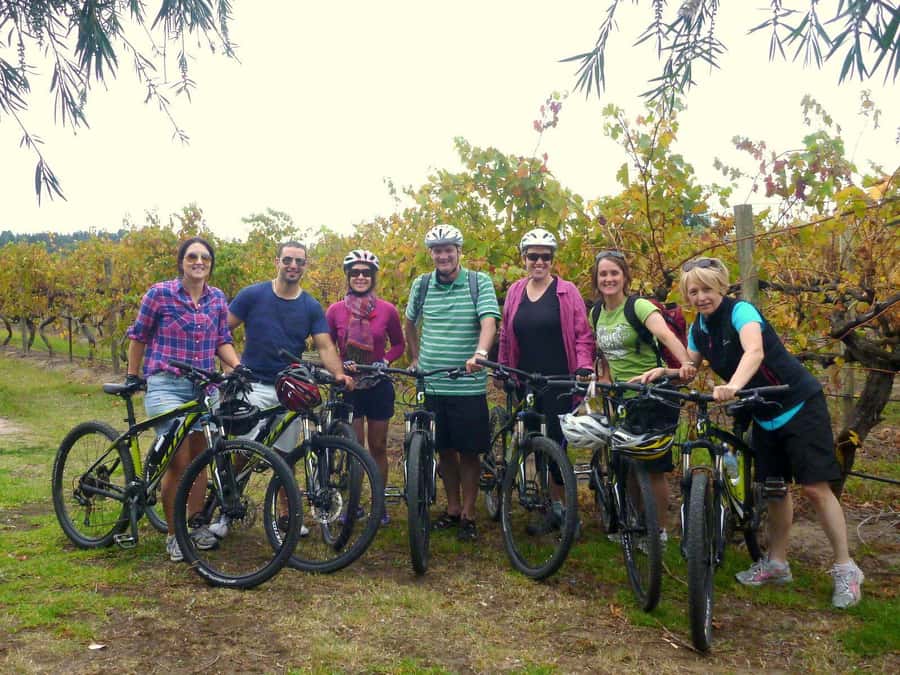 Mclaren Vale Hills Vines and Wines Bike Tour from Adelaide - Key points at a glance