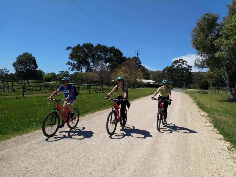 Mclaren Vale Hills Vines and Wines Bike Tour from Adelaide - The practical booking details