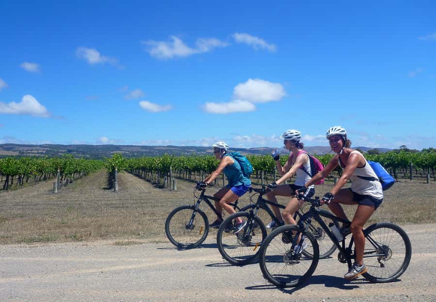 Mclaren Vale Hills Vines and Wines Bike Tour from Adelaide - From Adelaide to Kuitpo Forest by 9am