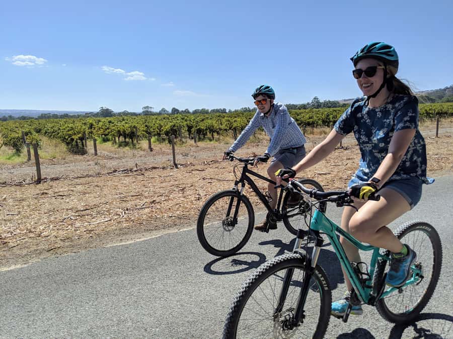 Mclaren Vale Hills Vines and Wines Bike Tour from Adelaide - Winery tastings with room for local character