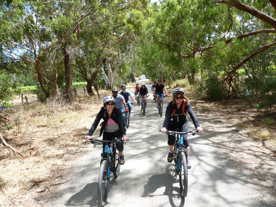 Mclaren Vale Hills Vines and Wines Bike Tour from Adelaide - A South Australian platter for lunch
