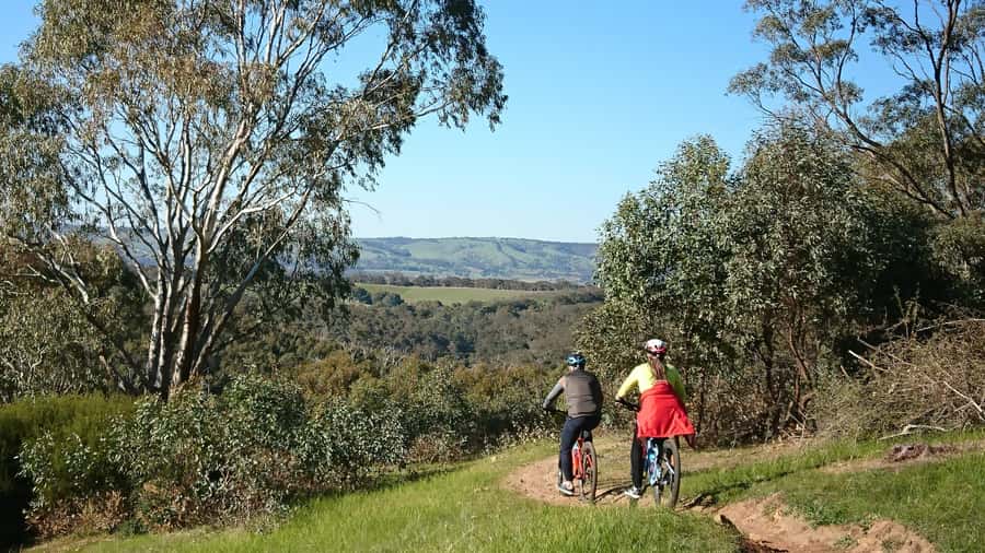 Mclaren Vale Hills Vines and Wines Bike Tour from Adelaide - The afternoon belongs to the group