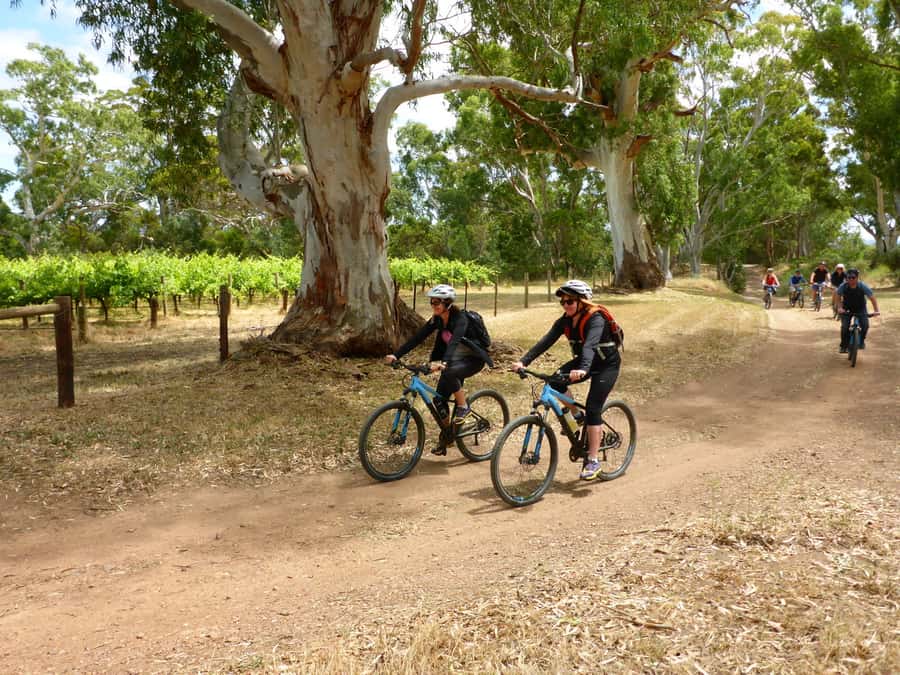 Mclaren Vale Hills Vines and Wines Bike Tour from Adelaide - What the small group changes