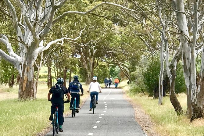 McLaren Vale Shiraz Trail Cycling Tour from Adelaide - Wirra Wirra Vineyards and the tasting stop