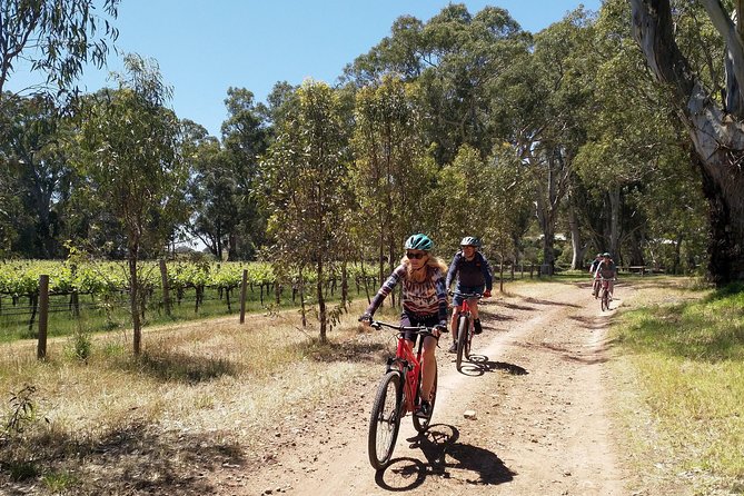 McLaren Vale Wine Tour by Bike - Small wineries instead of a winery conveyor belt