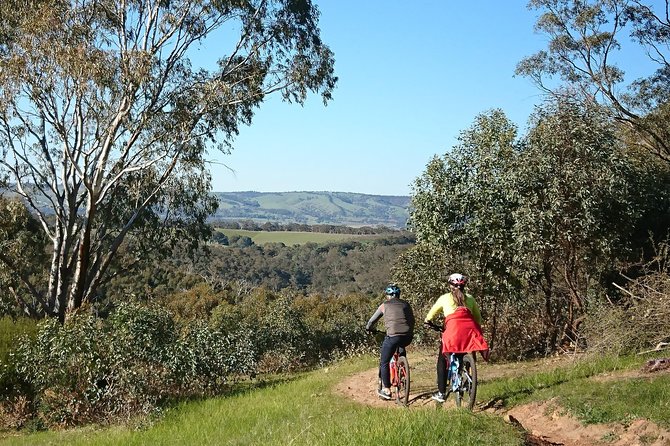 McLaren Vale Wine Tour by Bike - What the eight-hour schedule feels like