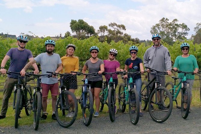 McLaren Vale Wine Tour by Bike - Is the riding really easy?