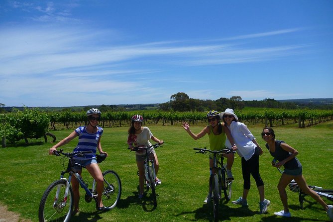 McLaren Vale Wine Tour by Bike - The value of $142.73 per person