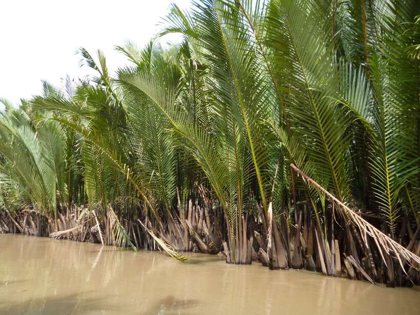 Mekong Day Tour by Car:Cai Be market, Local Island & Cycling - Practical details before you book