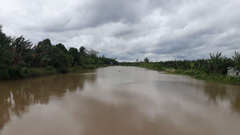 Mekong Day Tour by Car:Cai Be market, Local Island & Cycling - What the private format is really worth