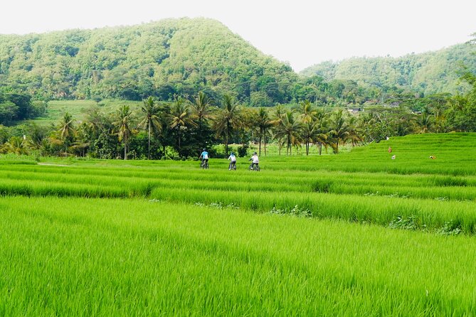 Menoreh Village Cycling - Meeting villagers and tasting Nanggulan’s everyday food