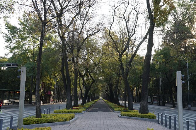 Mexico City: 19 City Highlights Bicycle Tour - Reforma and the Angel of Independence
