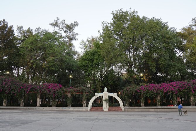Mexico City: 19 City Highlights Bicycle Tour - Into the Historic Center