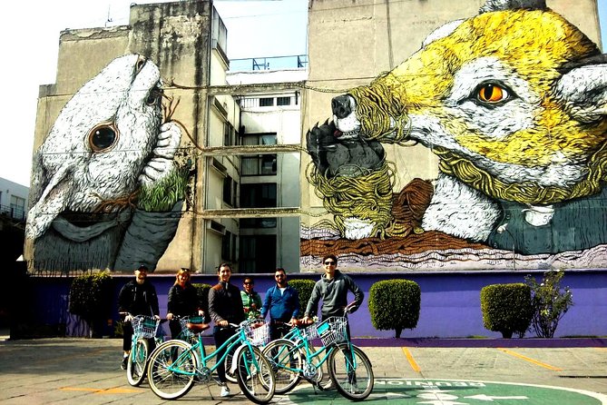 Mexico City: Art Naco, murals & street art bike tour - Choosing between the north, downtown, and south routes