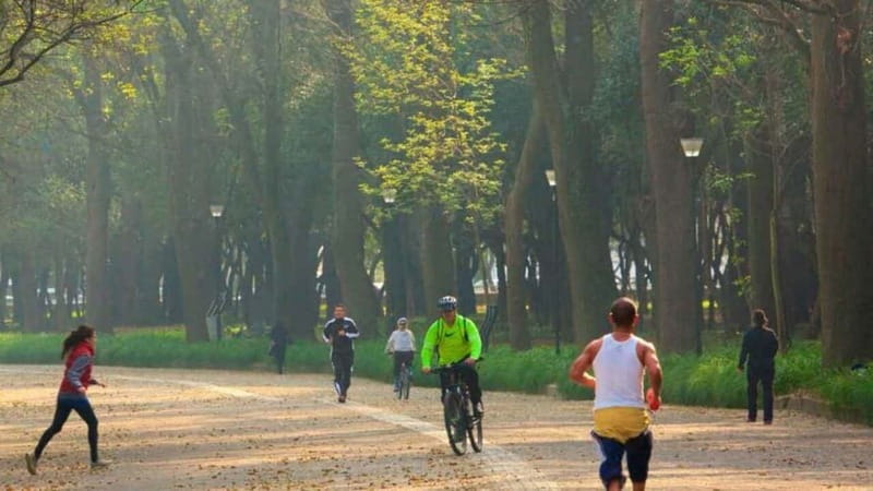 Mexico City: Private Chapultepec Park Bike Tour - Meeting at the Estela de Luz at 8:30 a.m.
