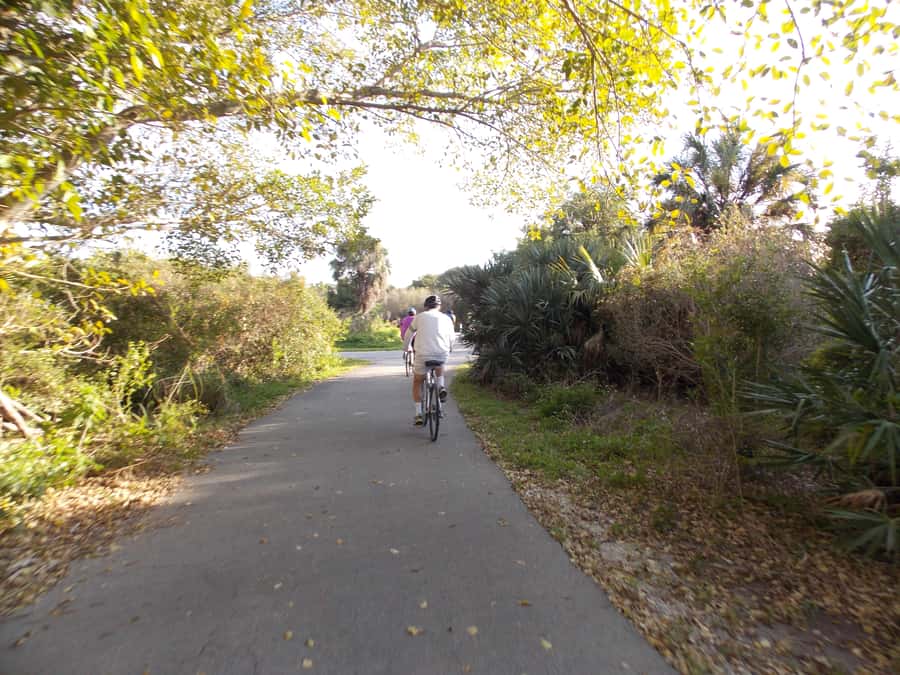 Miami: Bike Rental - Holocaust Memorial and the Botanical Gardens