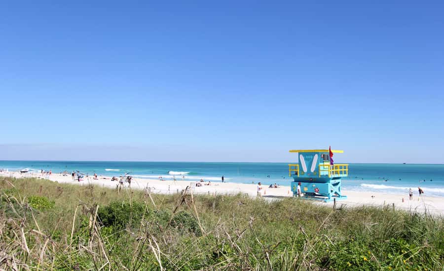 Miami: Bike Rental - South Pointe Park and the walk to the pier