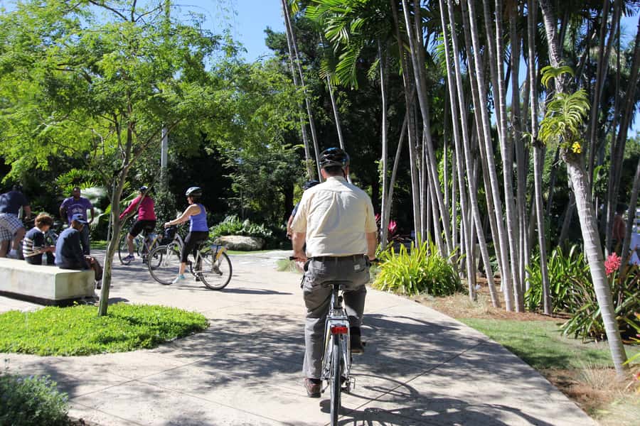 Miami: Bike Rental - What $24 buys you for the day