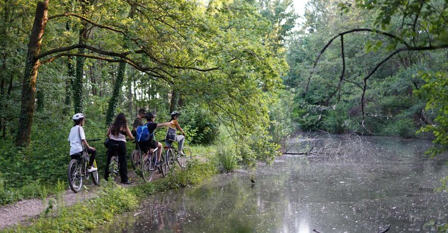 Milan: Bike Tour with Picnic on the turtle lake - Quick reasons to consider this ride