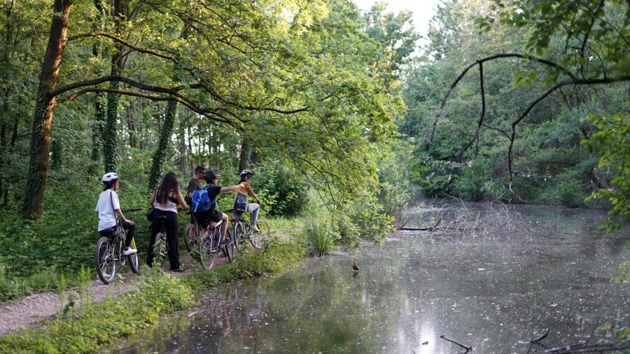 Milan: Bike Tour with Picnic on the turtle lake - Why this side of Milan deserves your time
