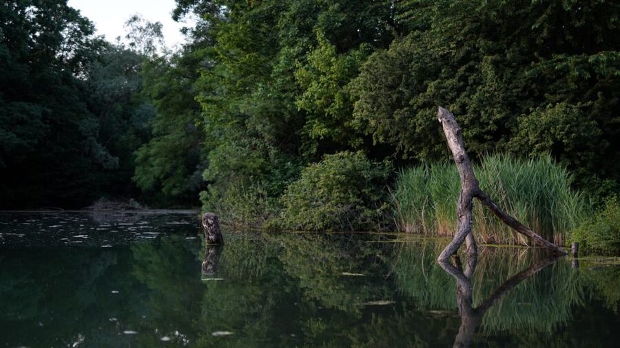 Milan: Bike Tour with Picnic on the turtle lake - What the $46 price really includes