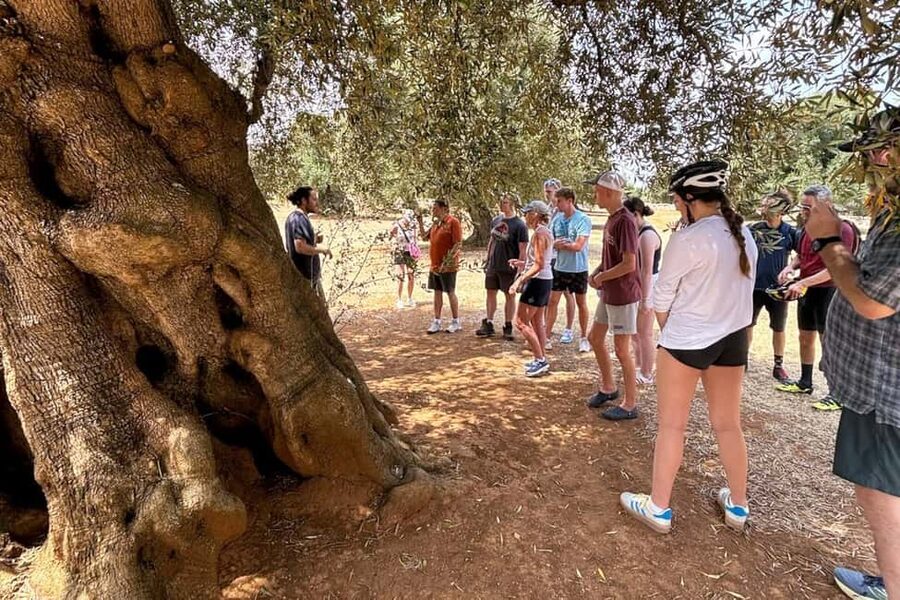 Monopoli: E-Bike Tour with Sandwich and Wine - The bakery stop with sandwich, focaccia, and wine