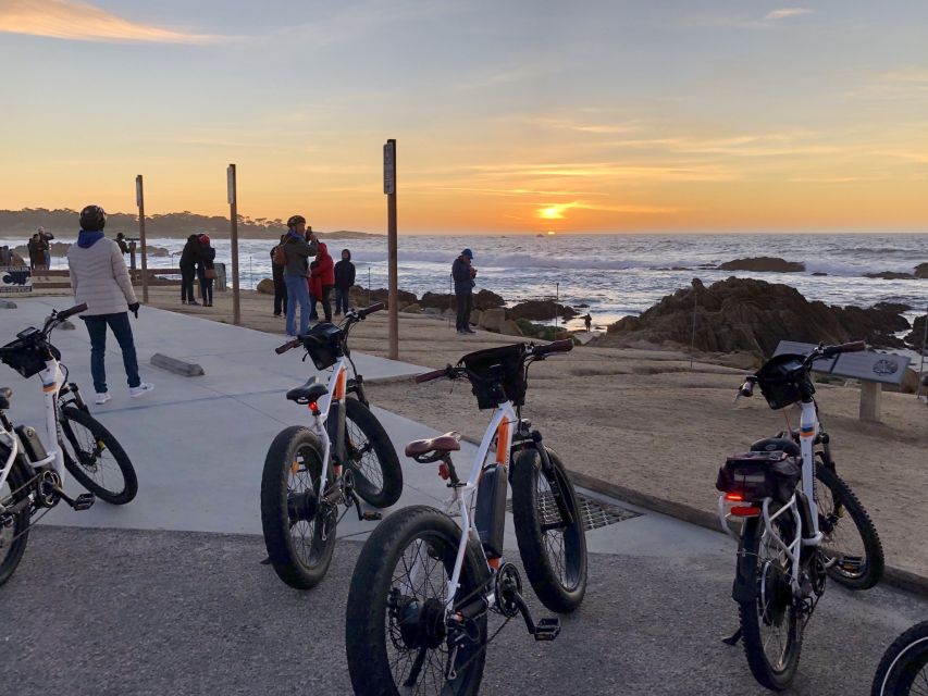 Monterey: 17-Mile Drive Guided E-Bike Tour - China Rock, Bird Rock, and coastal wildlife