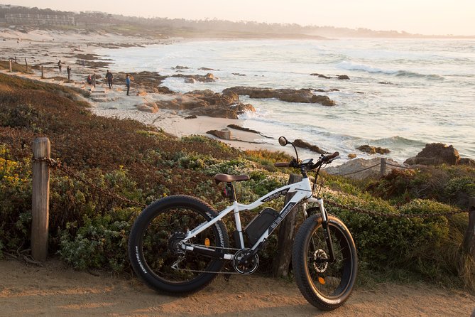 Monterey's 17 Mile Drive Guided Electric Bike Tour, 3 hr - Bird Rock, sea lions, and wildlife watching