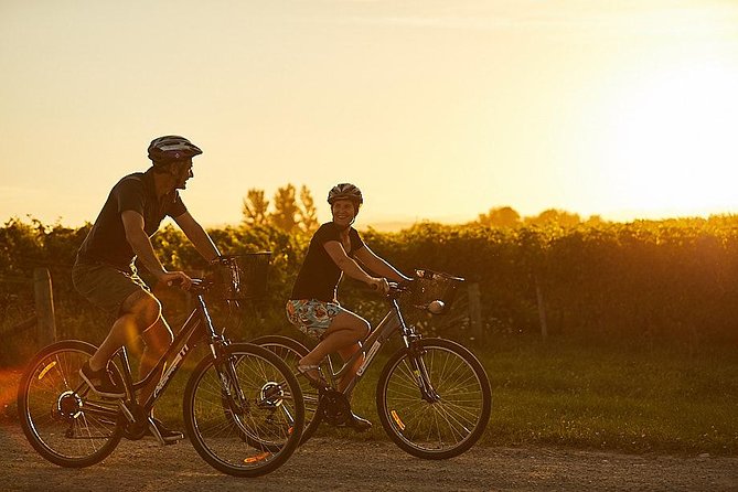 Morning Guided with Afternoon Self-Guided Biking Wine Tour - Flat cycling for a broad range of fitness levels