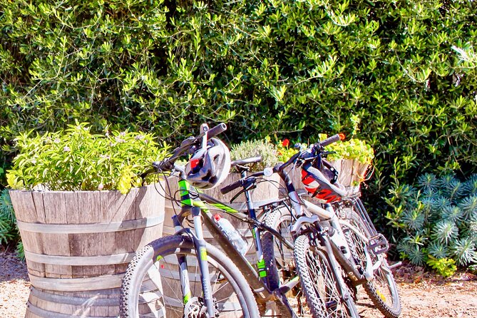 Mornington Peninsula Self-Guided Bike Tour | Food & Wine Region - Starting among wallabies at Seawinds Gardens