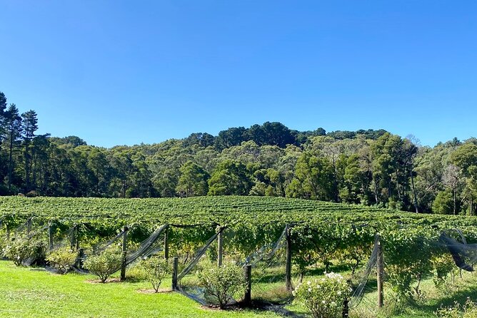 Mornington Peninsula Self-Guided Bike Tour | Food & Wine Region - What the self-guided format does well