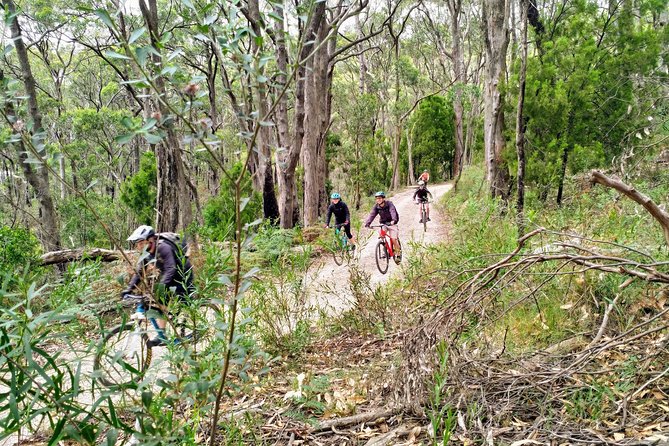 Mount Lofty Descent Bike Tour from Adelaide - Price, timing, and what you receive