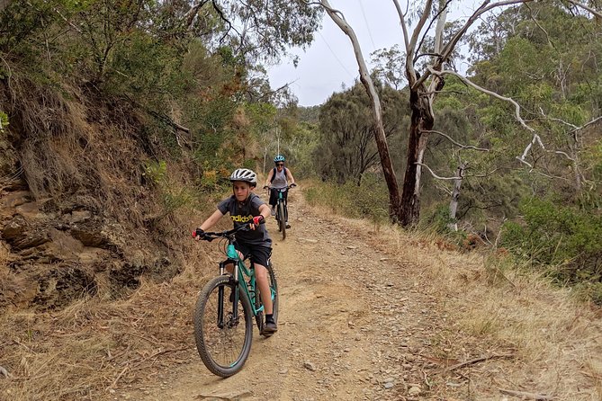 Mount Lofty Descent Bike Tour from Adelaide - Who should book the Mount Lofty descent?