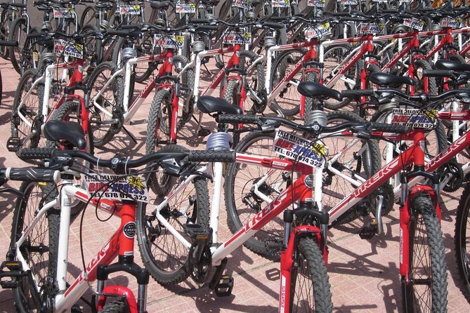 Mountain Bike Rental Tenerife - Is $28.87 good value?