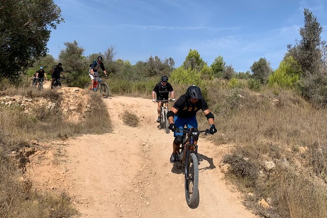 Mountain Bike Tour Font de la Mata - How hard is the ride?