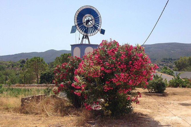 Mountain Bike Tour Font de la Mata - What is included, and what should you bring?