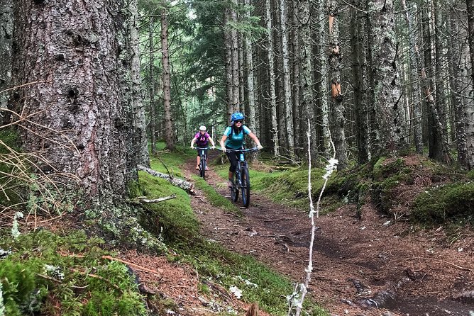 Mountain Bike - Voss Forest - Bikes and safety equipment